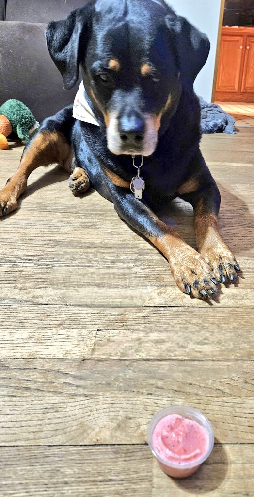 Adrienne & Rugie tweet media