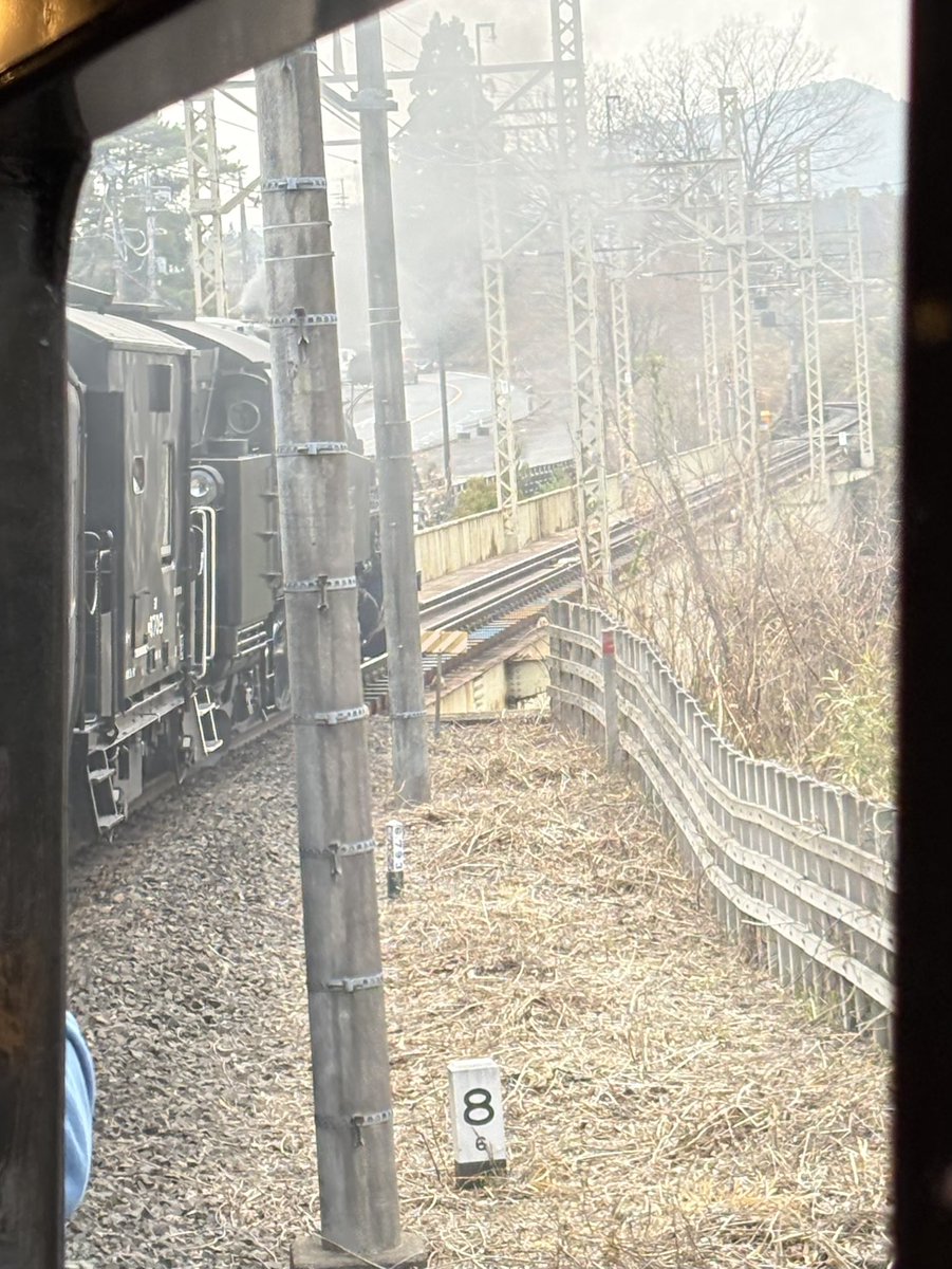 ロプロス tweet media