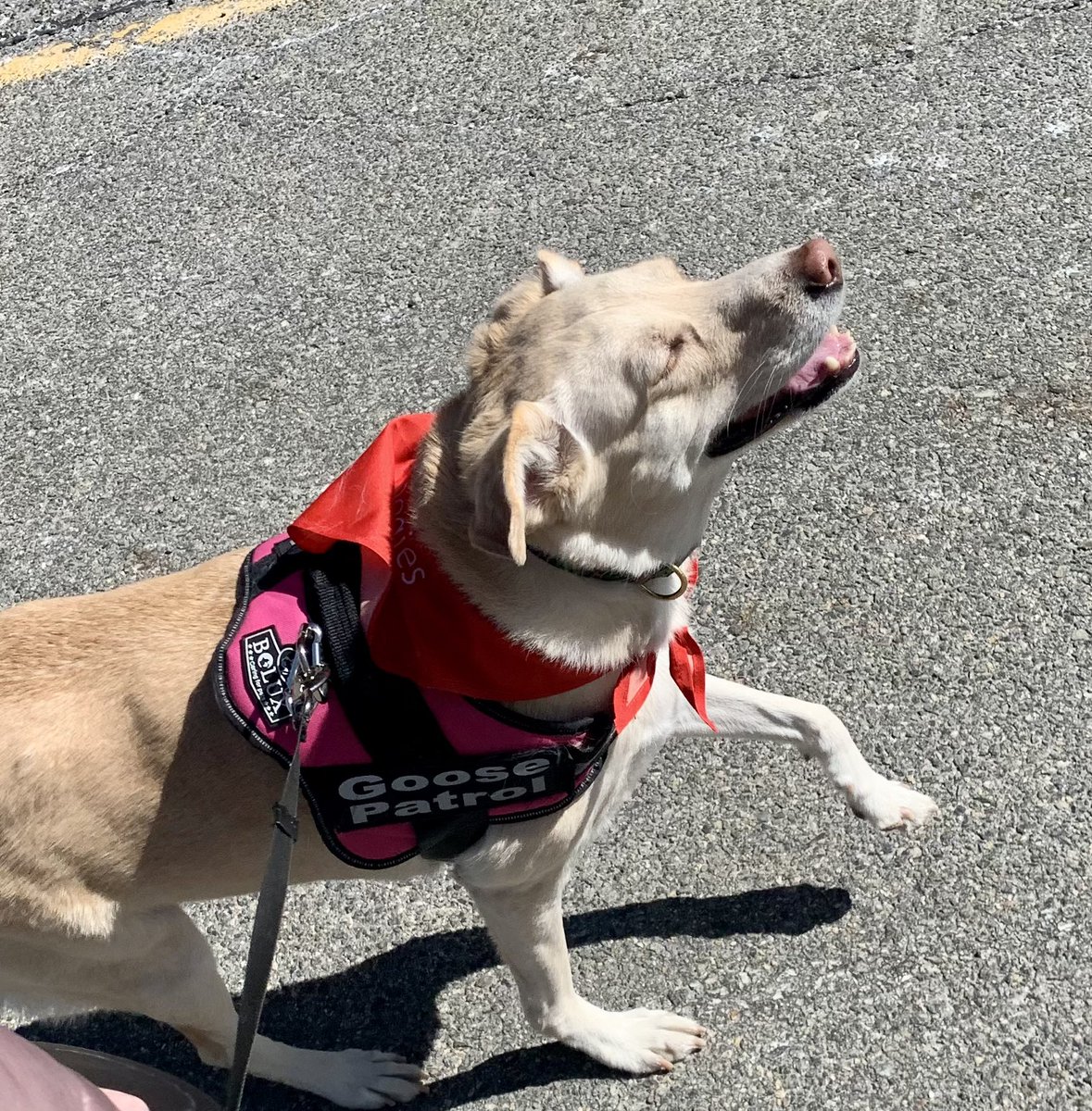 ~Michele~ tweet media