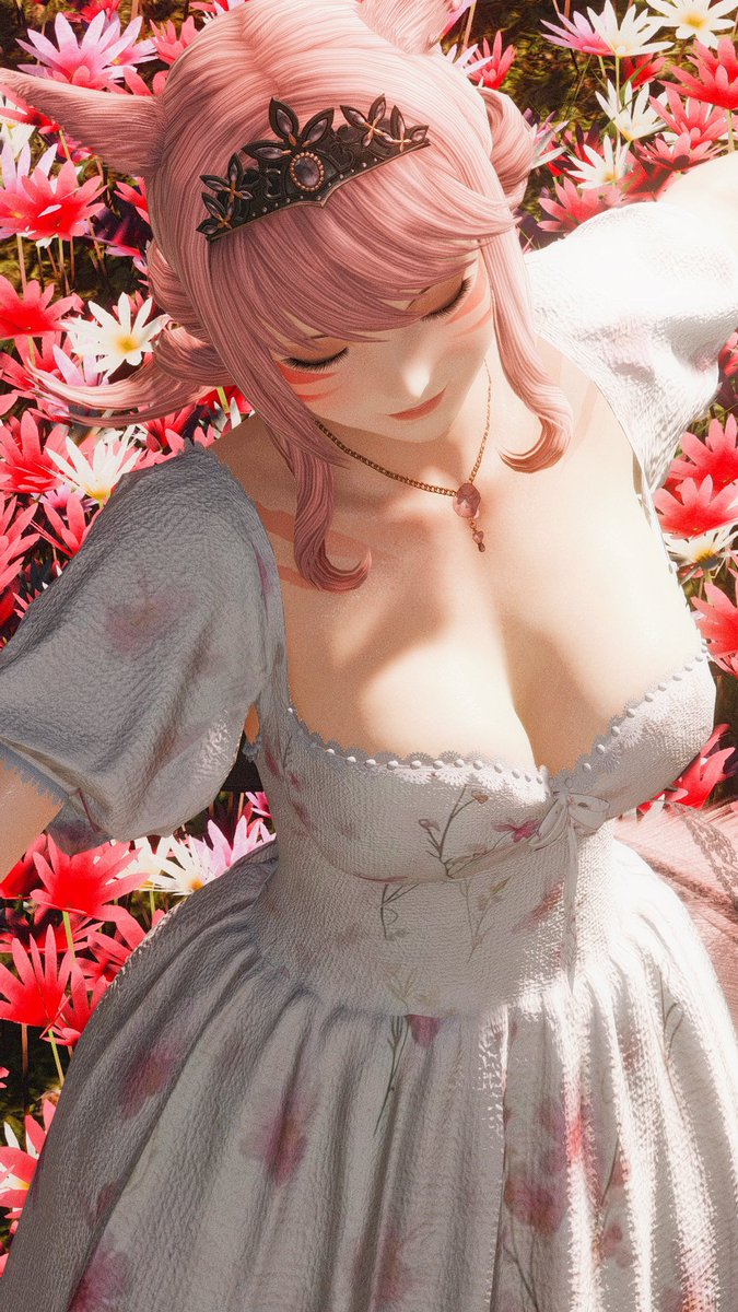 Momo 🌸 tweet media