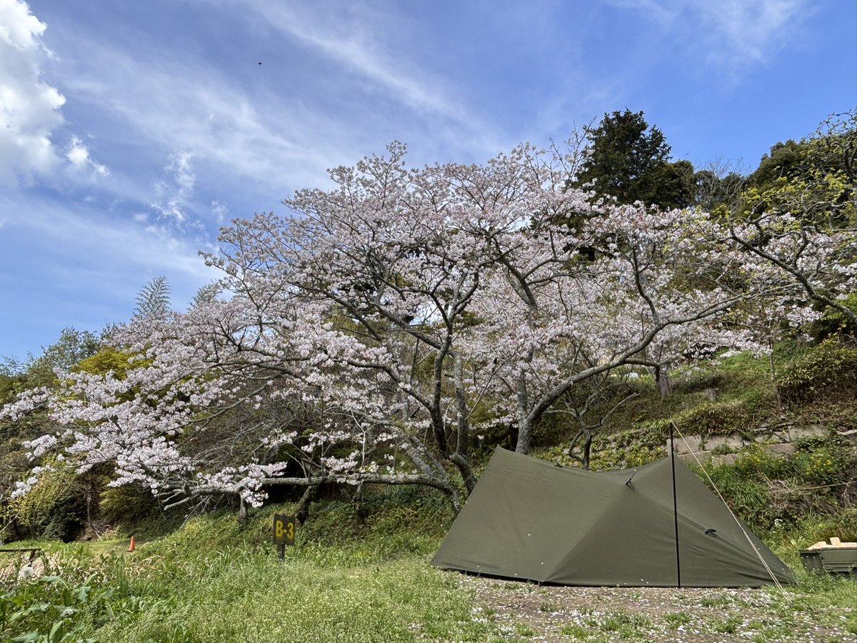 ポンコツサブロー tweet media