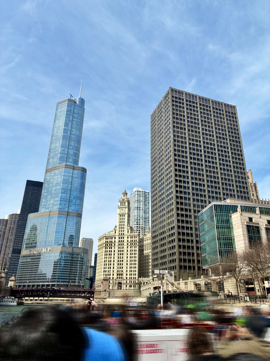 みどり子🇺🇸 tweet media