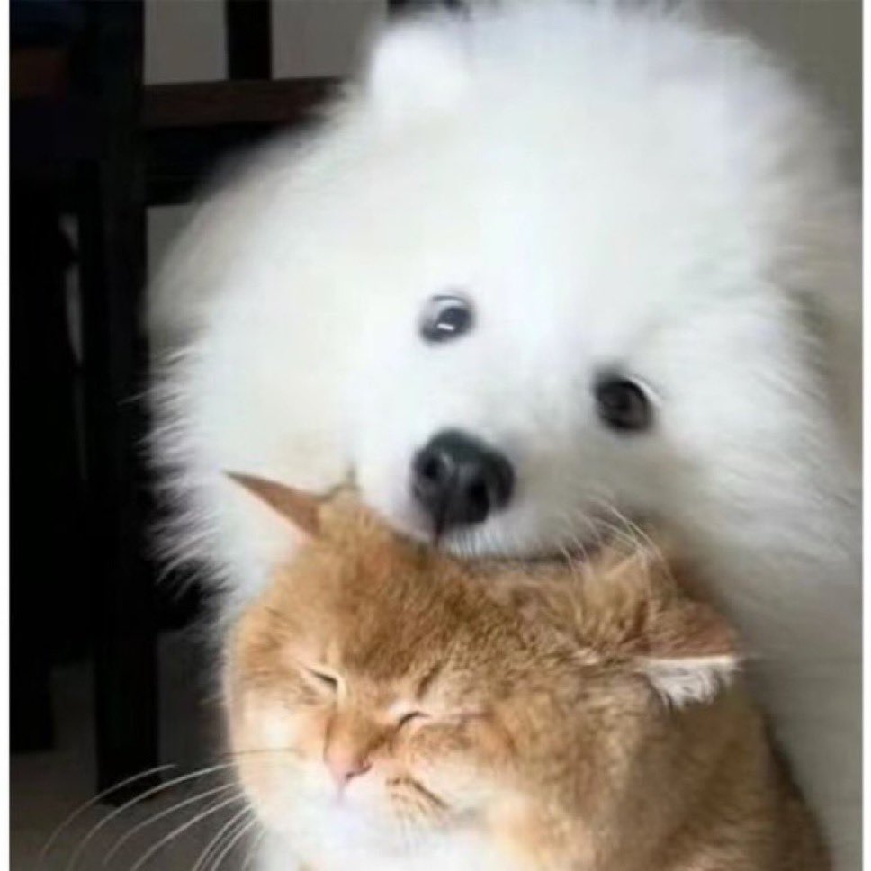 𝐑𝐞𝐚𝐥𝐣𝐢𝐧𝐠 | 𝐃𝐨𝐤𝐢𝐃𝐨𝐤𝐢 𝐂𝟗-𝐂𝟏𝟎 tweet media