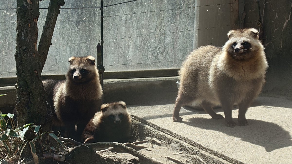 えむあーる tweet media