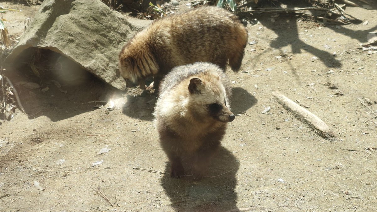 えむあーる tweet media