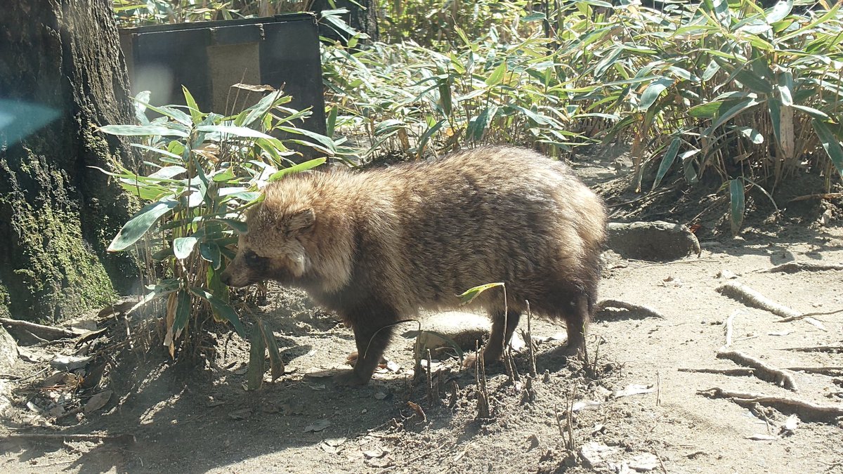 えむあーる tweet media