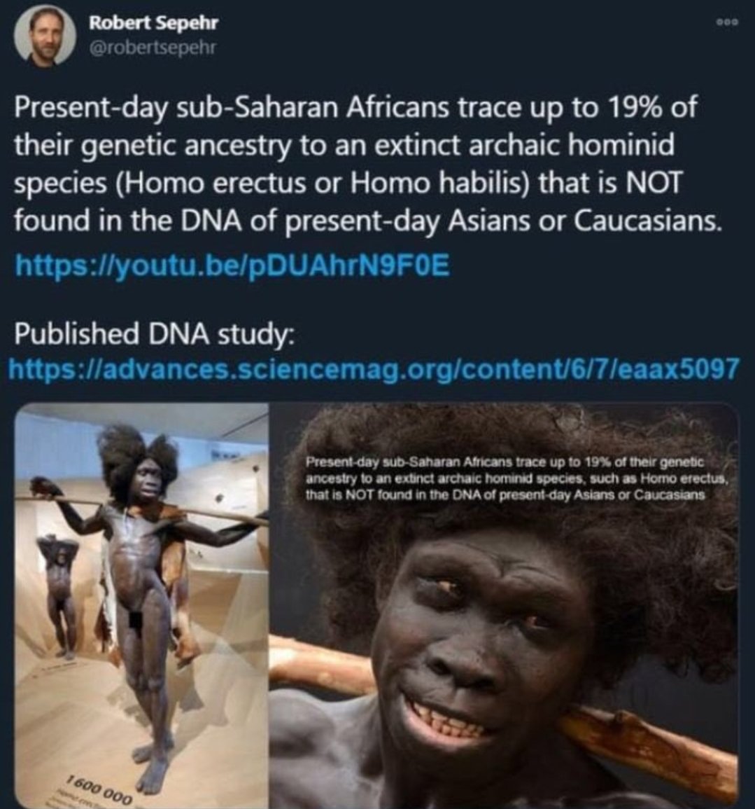 Insidious tweet media