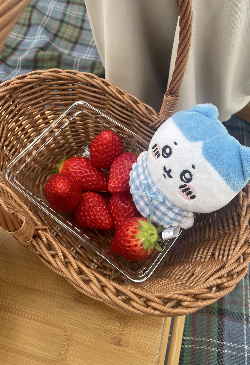 _07mn25_'s tweet photo. 淡路島にいちご狩り行ってきた🍓 https://t.co/TyHz1Kd6IZ