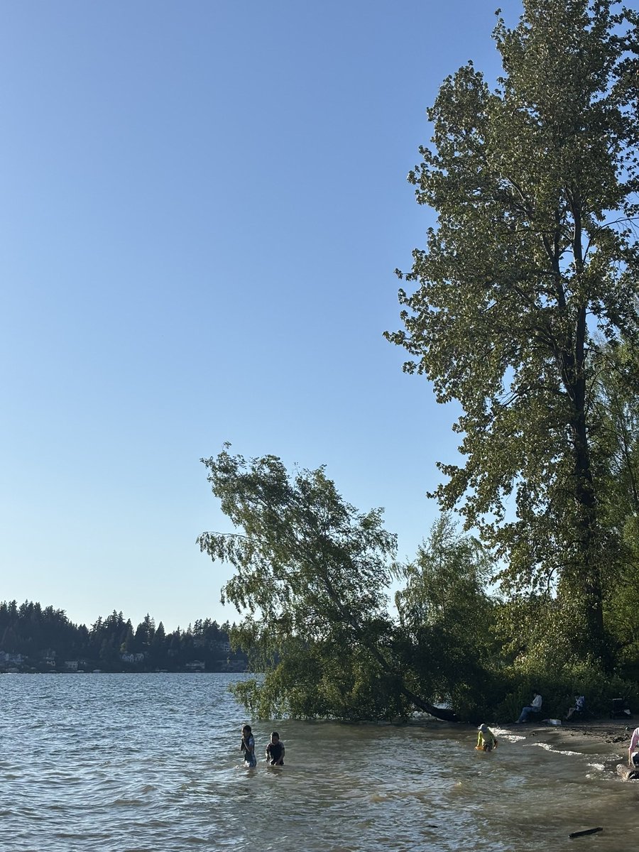 🇵🇸 tweet media