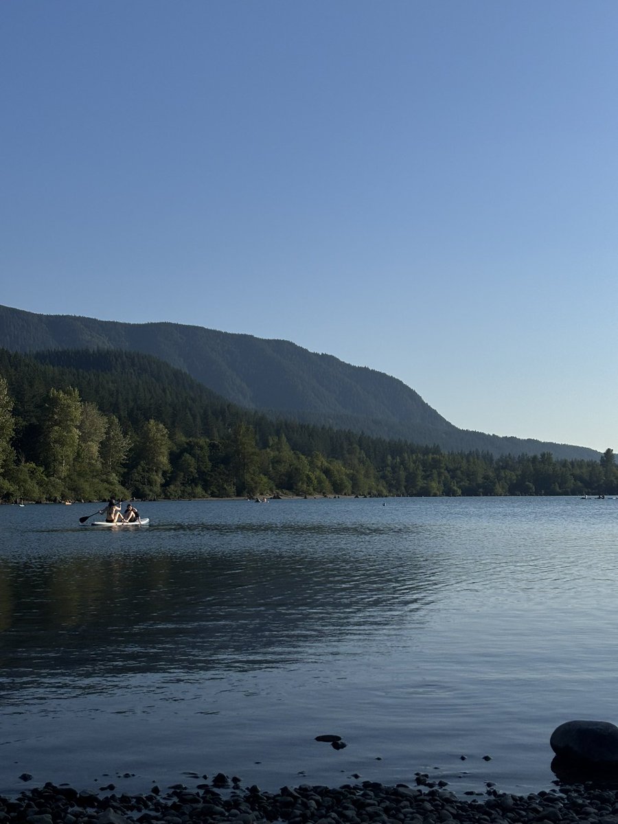 🇵🇸 tweet media