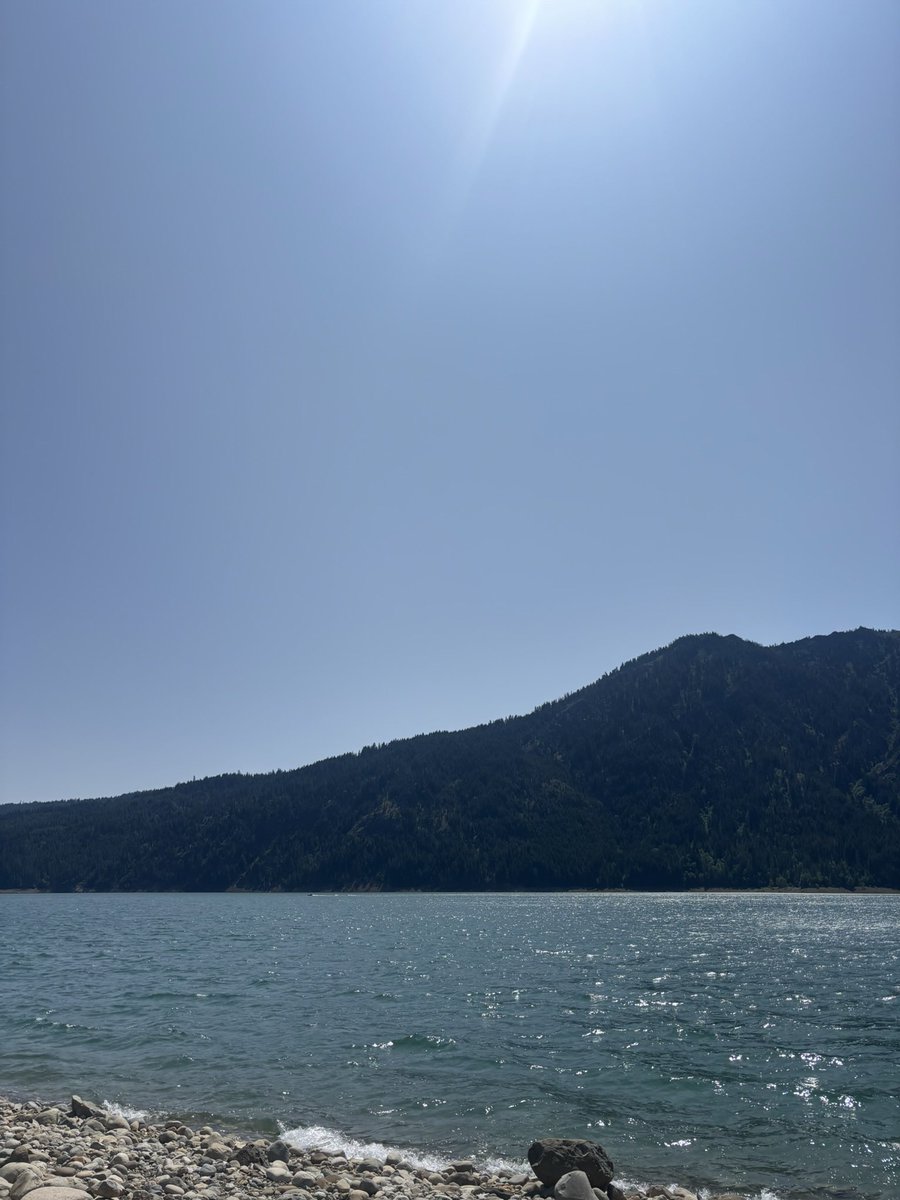 🇵🇸 tweet media