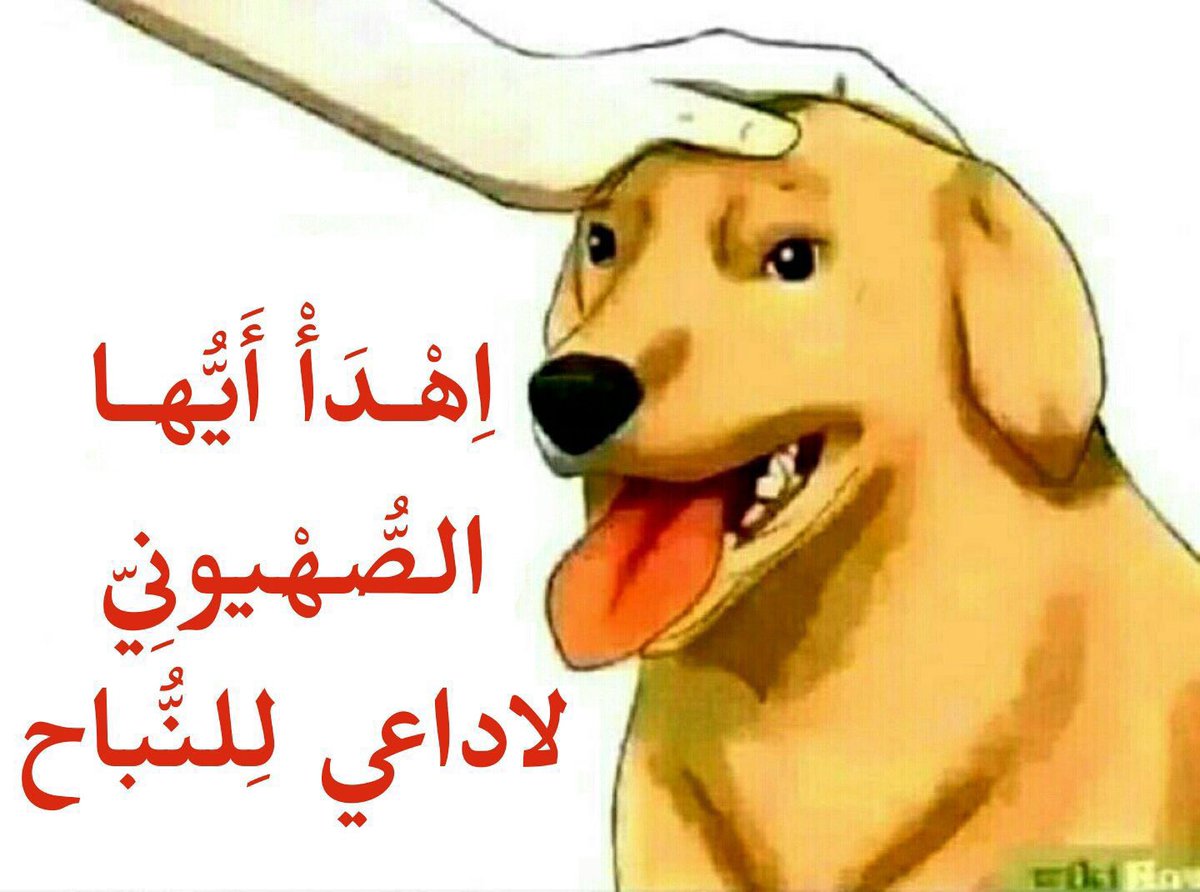 أبو إلياس tweet media