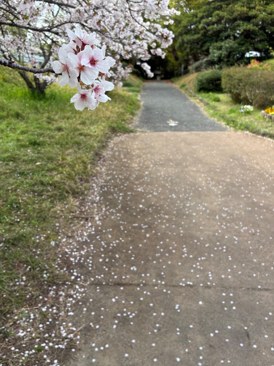 前川 浩 tweet media