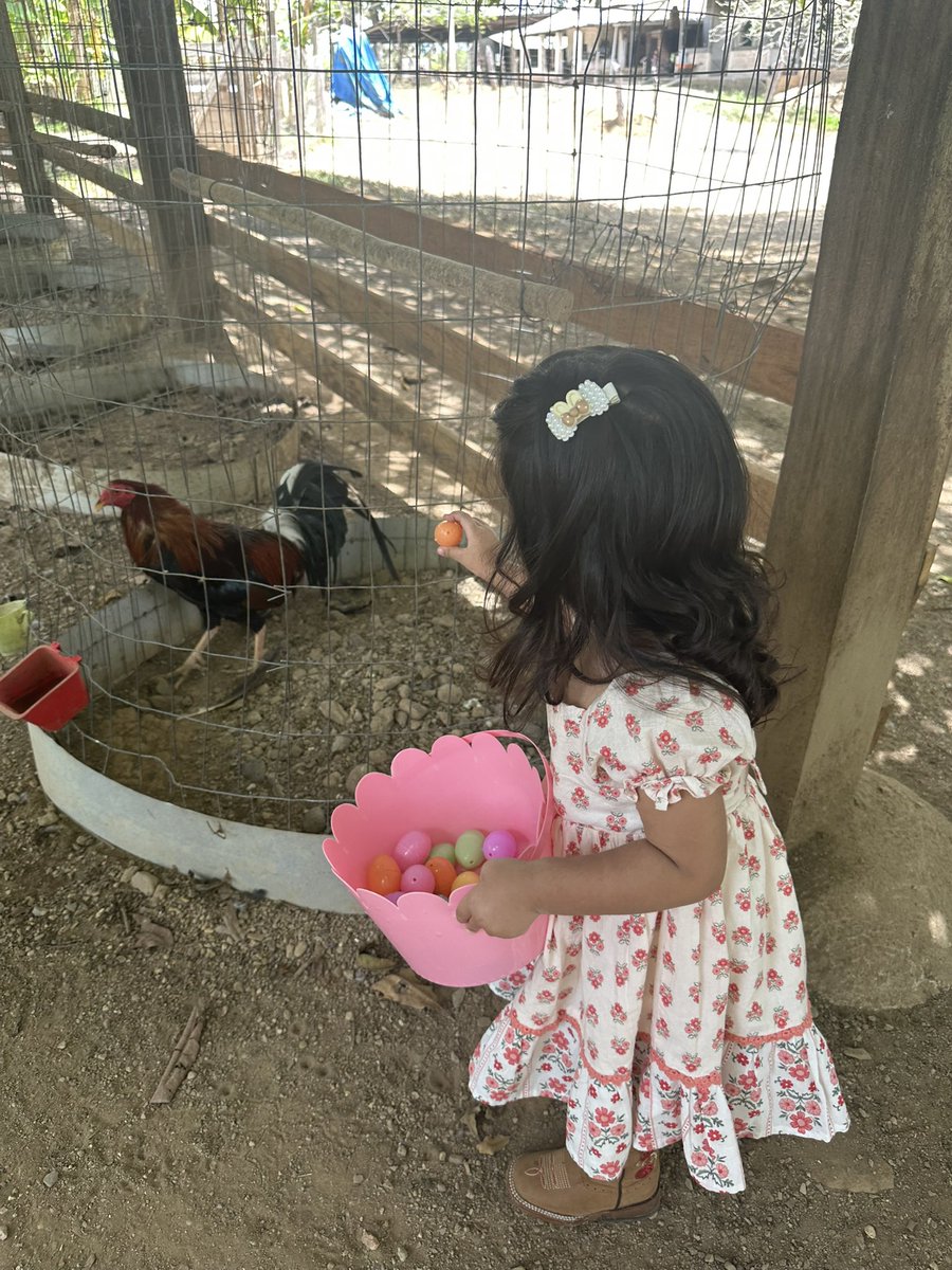 skarleeethm's tweet photo. Tanto tiempo esperando este momento #ourfirsteasteregghunt🐰🥚✨ https://t.co/C2GSDAD9Od