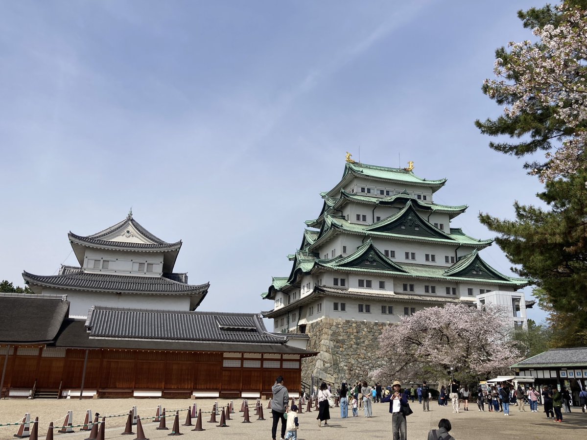 にせくん tweet media