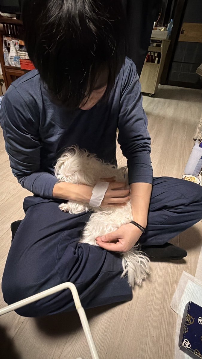 マッチュルーム🍄🎰 tweet media