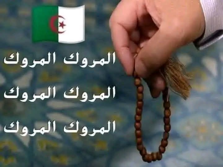 AdELMori tweet media