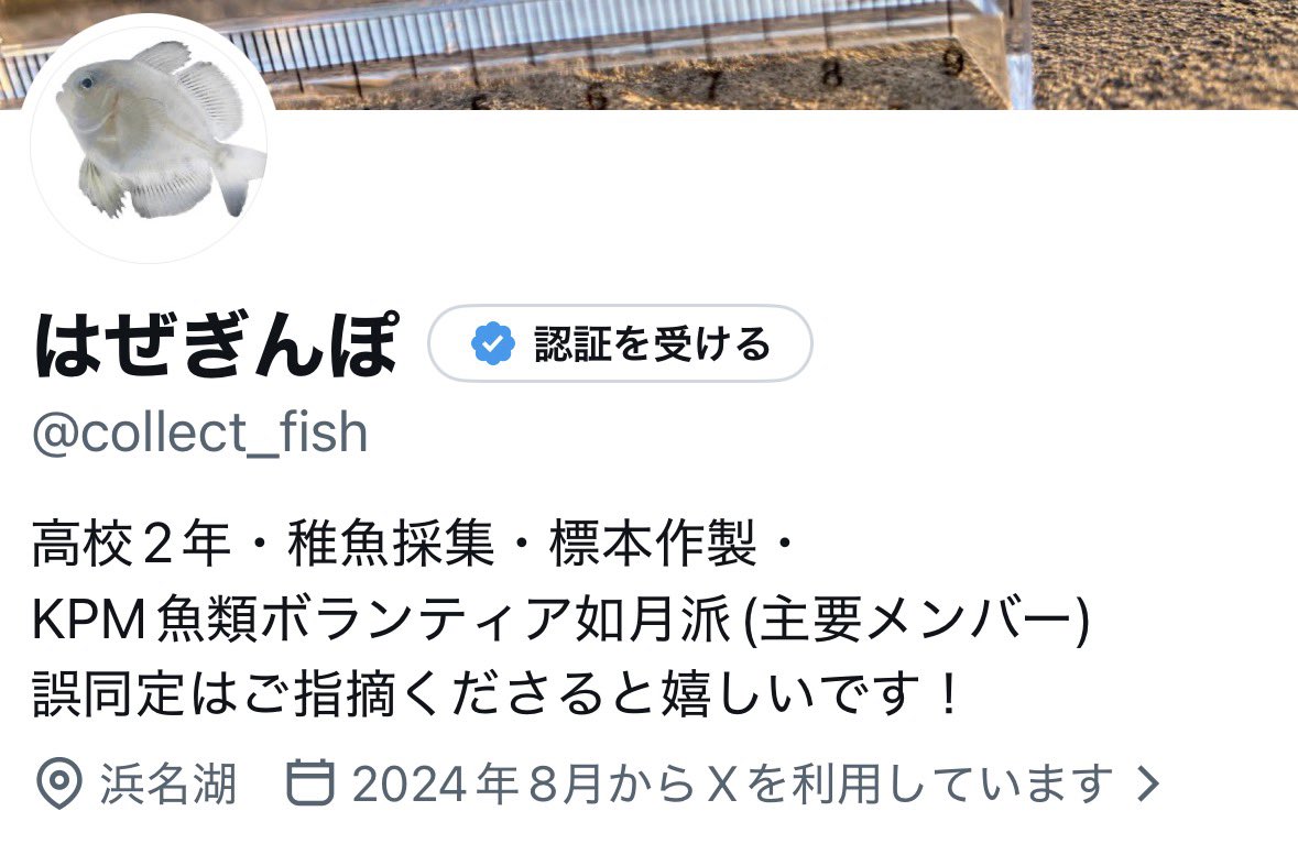 はぜぎんぽ tweet media