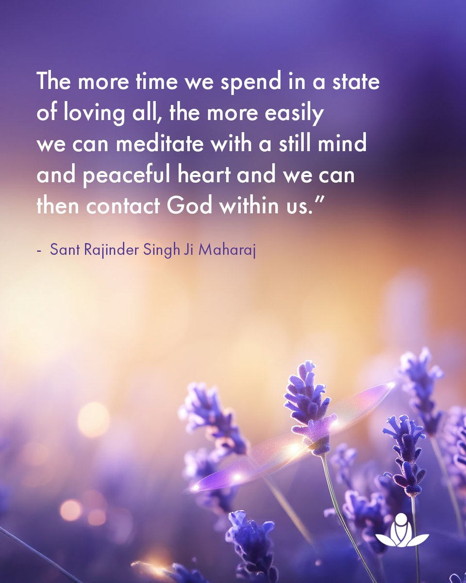 SOS Meditate tweet media