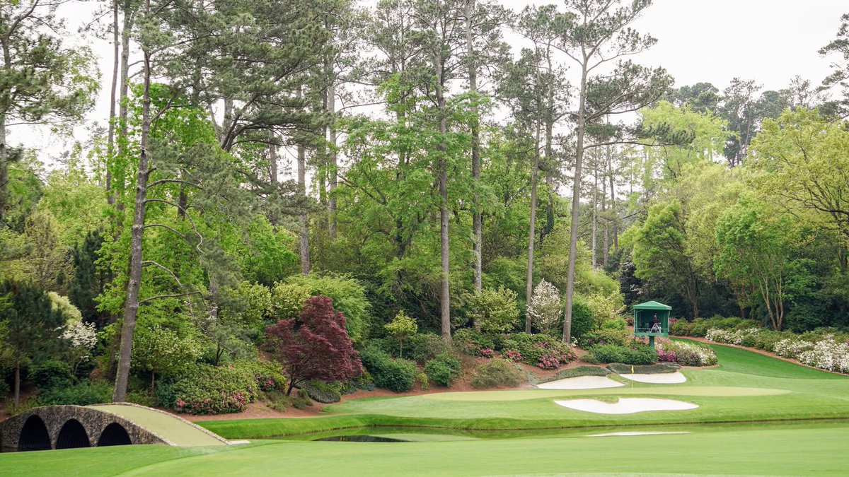 David Watson tweet media