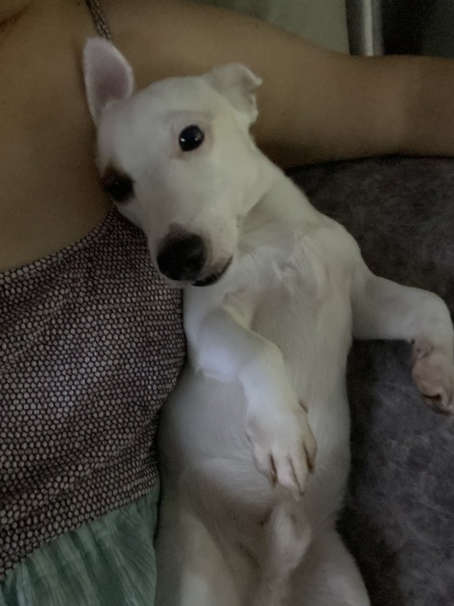 โอ้วเอ๋ว tweet media