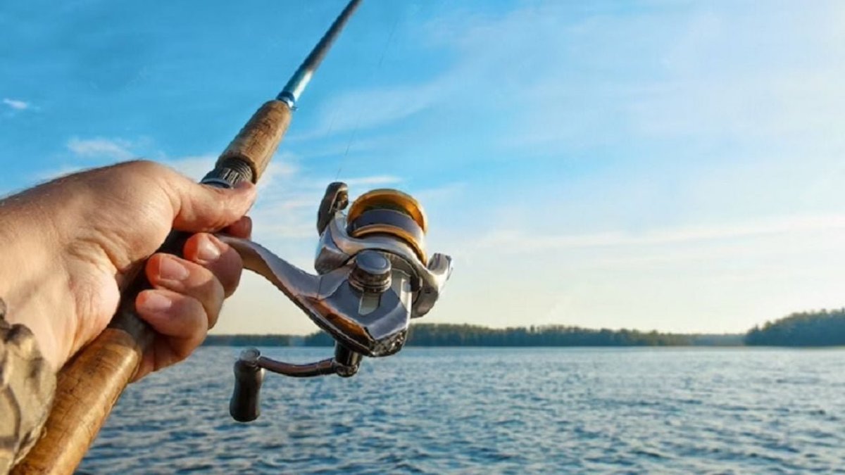 Observa 360 tweet media