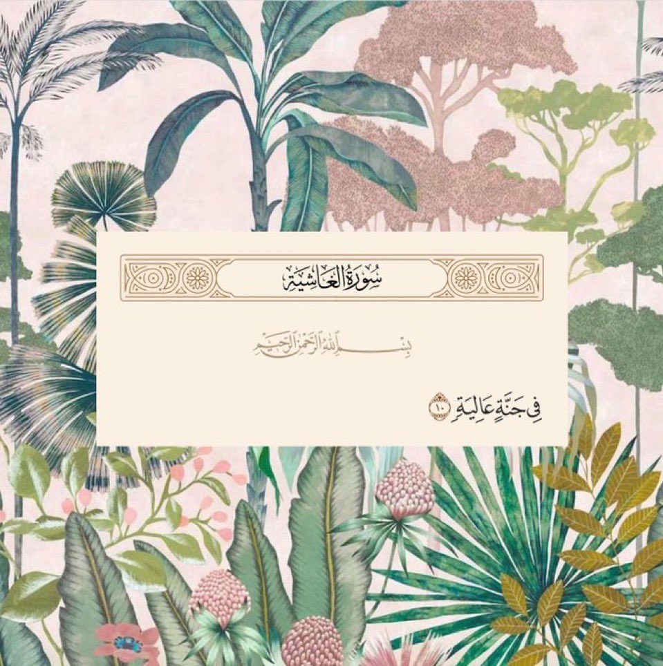 زينب محمد🇮🇶 tweet media