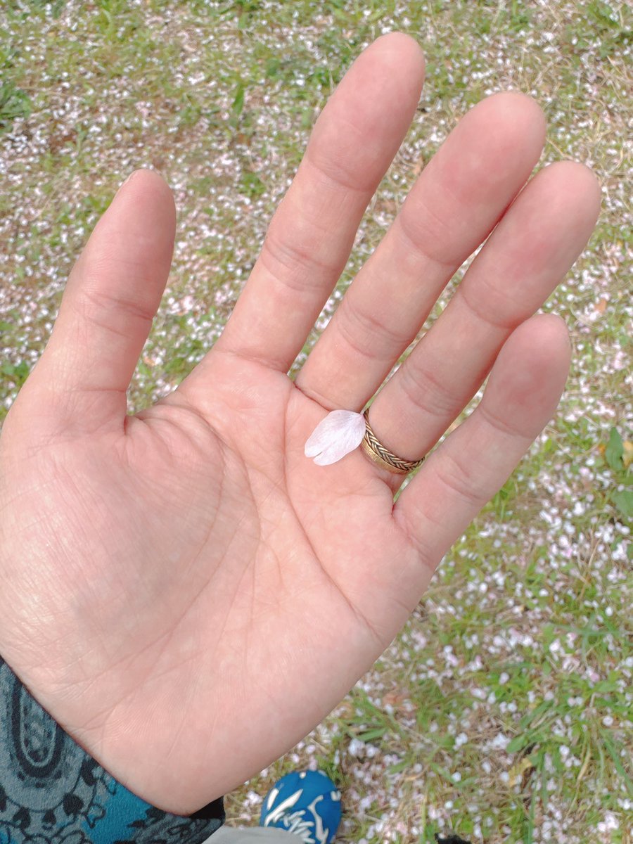 ごまのら tweet media