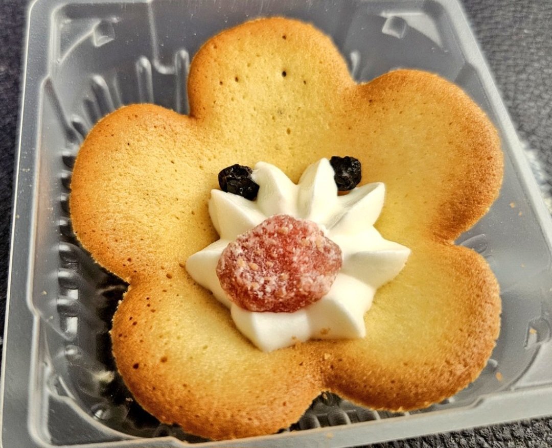 🪷おしの🪷 tweet media