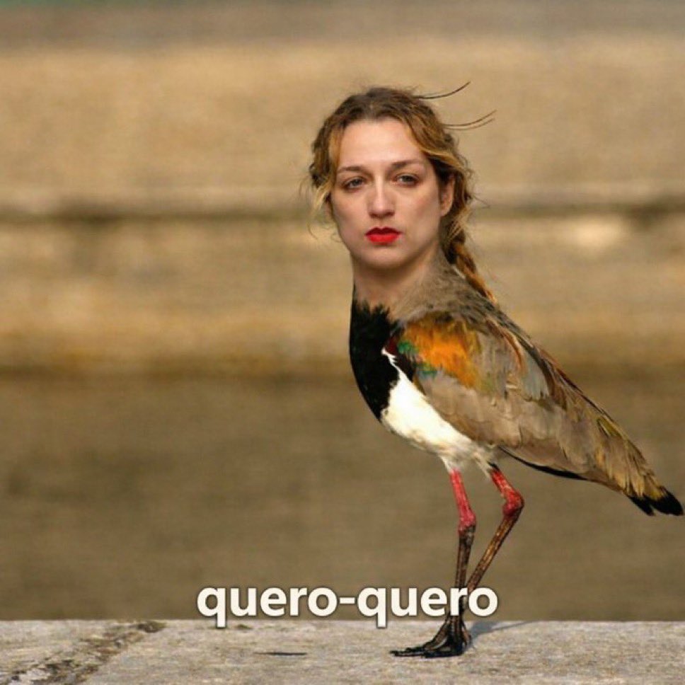 imogen❤️‍🔥 tweet media