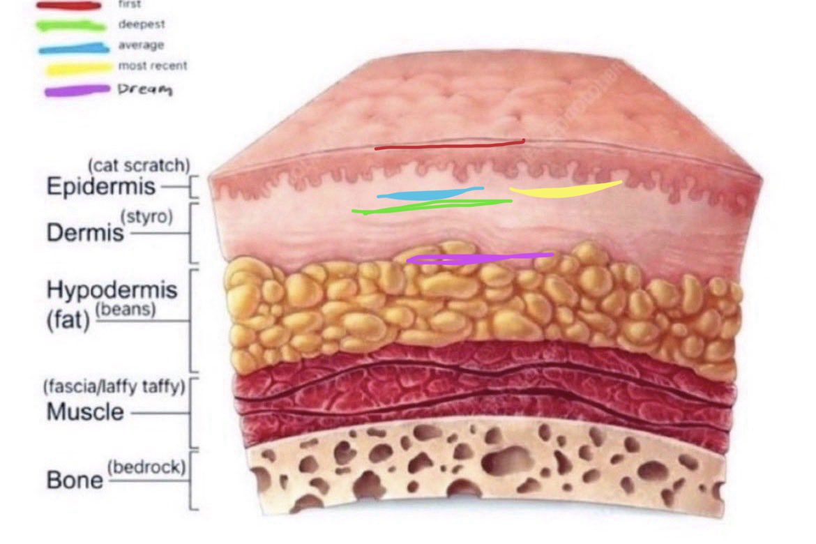 ⚔︎ shiki of shtwt ⚔︎ tweet media