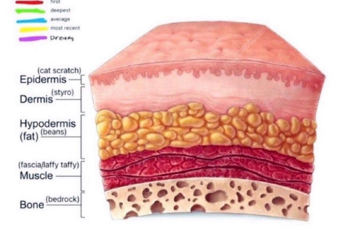 ⚔︎ shiki of shtwt ⚔︎ tweet media