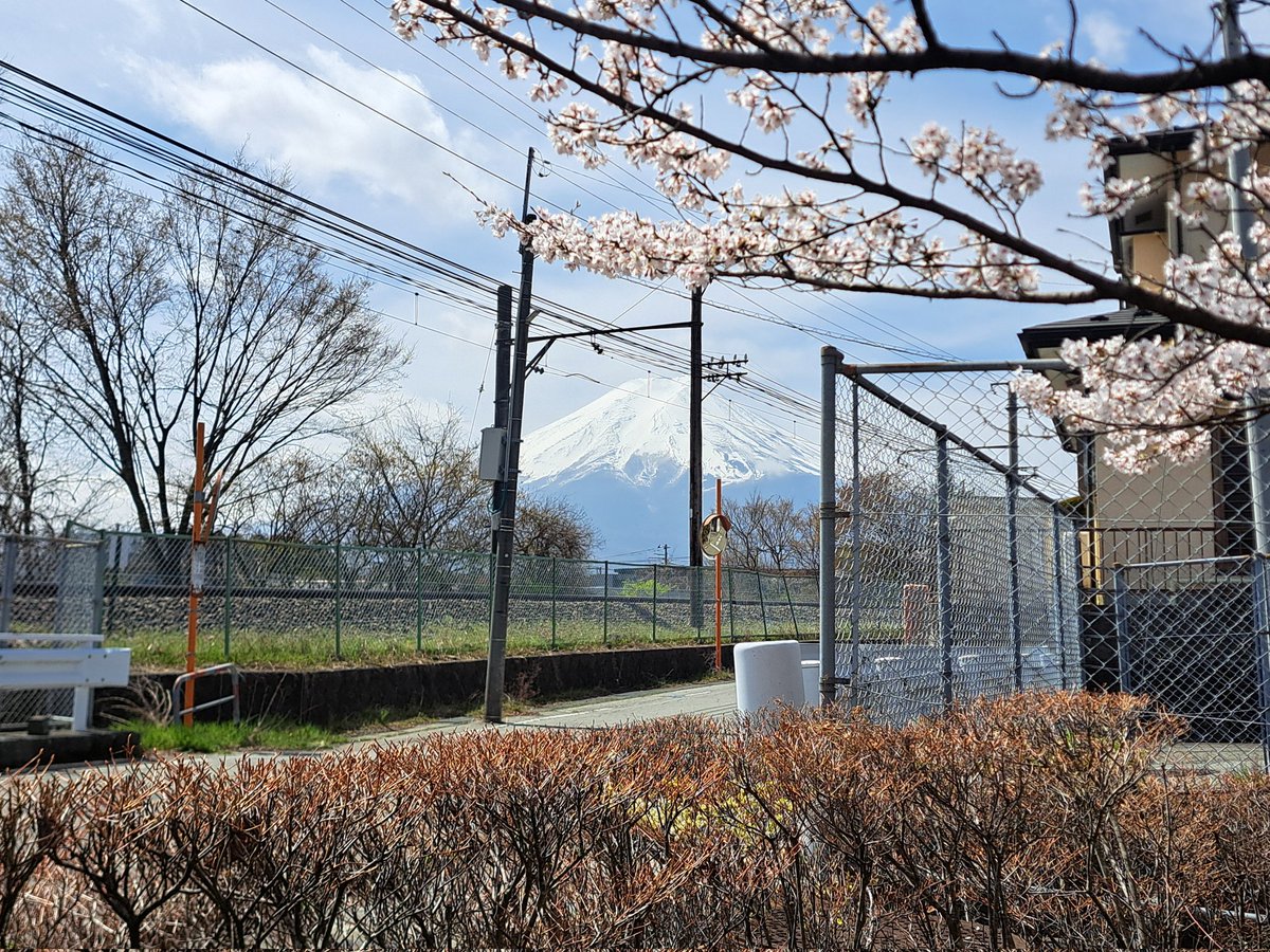 milioncafe's tweet photo. 今日も最高にHAPPY！富士山🗻と桜🌸💘
#富士山
#富士吉田市 https://t.co/OCPeLaCNZc
