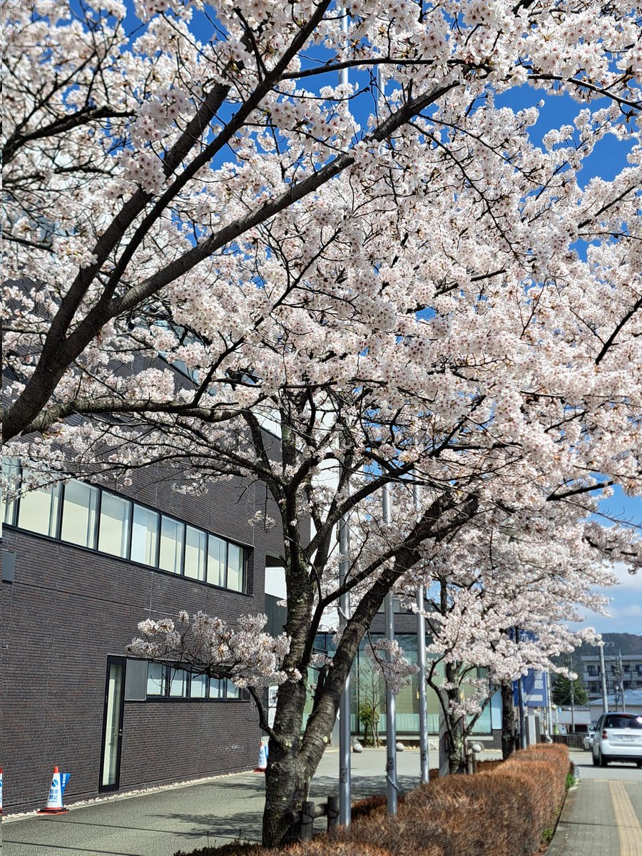 milioncafe's tweet photo. 今日も最高にHAPPY！富士山🗻と桜🌸💘
#富士山
#富士吉田市 https://t.co/OCPeLaCNZc