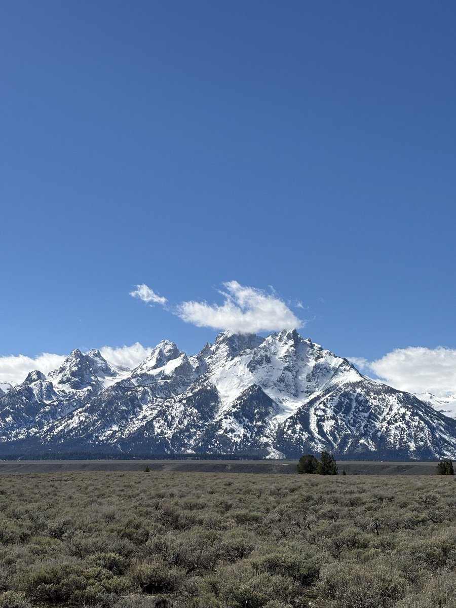 strongestOso tweet media