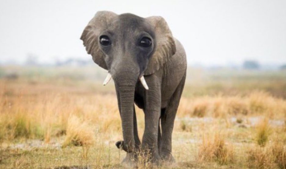 donterdrawling tweet media