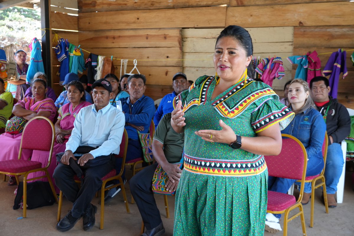 Puerto Barú en David tweet media