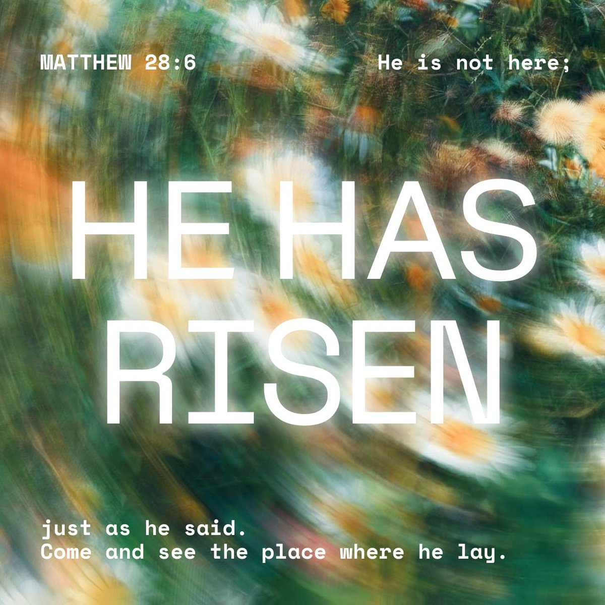 kimikeiki's tweet image. Hello everypony! 🎠🌈
Here is today's #VOTD:

"He isn’t here! He is risen from the dead, just as he said would happen. Come, see where his body was lying." [Matthew 28:6 NLT]

❤️ The resurrection of Christ is the most important event in history. It is the point that proves, truly