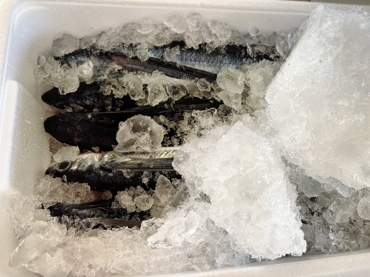 🎮🍠KiNAxxx🍠🎮 tweet media