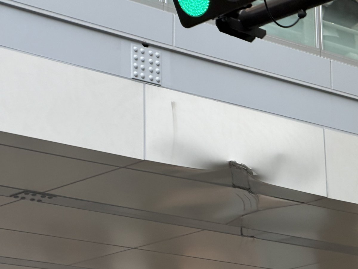 ゴンザレス tweet media