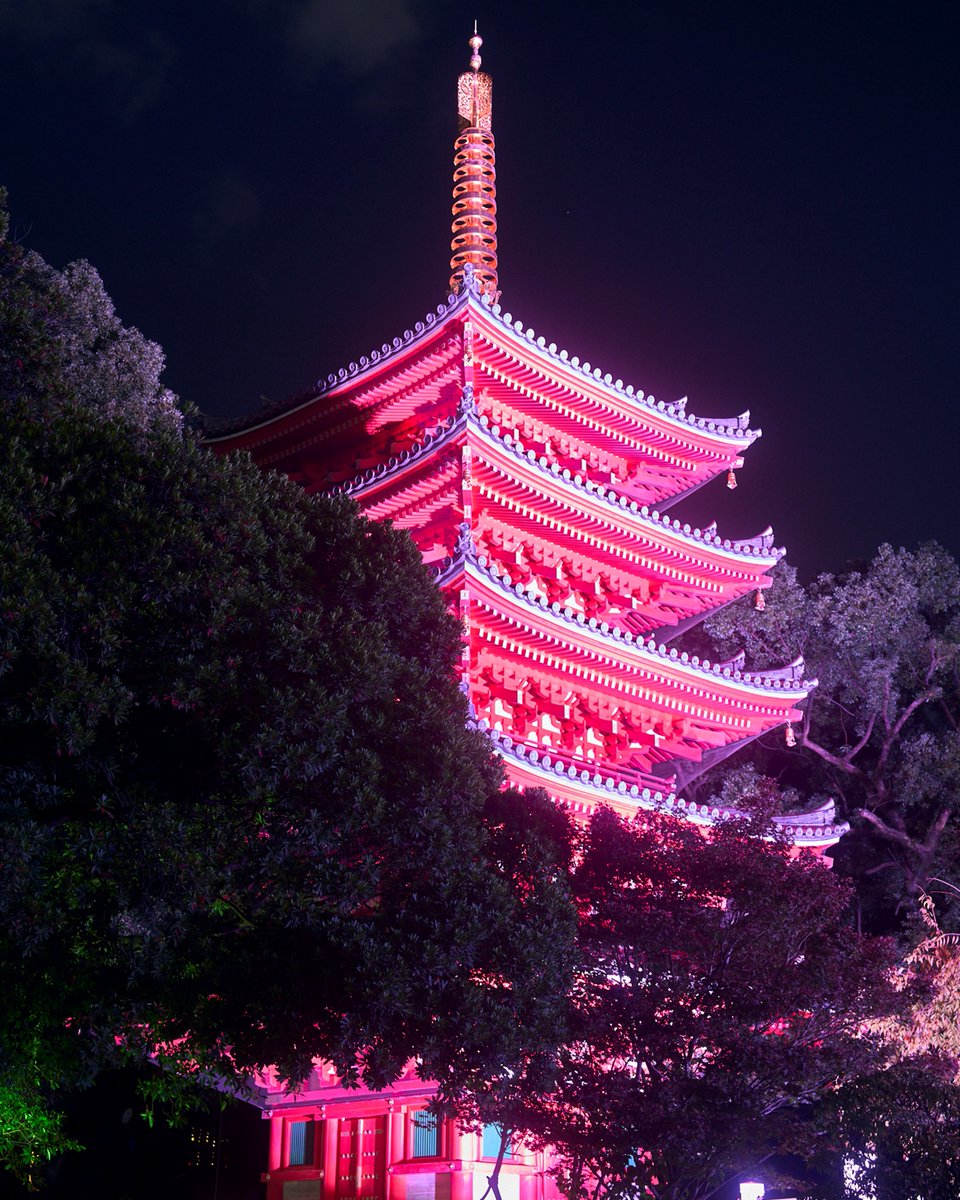 博多旧市街ライトアップウォーク　千年煌夜 tweet media