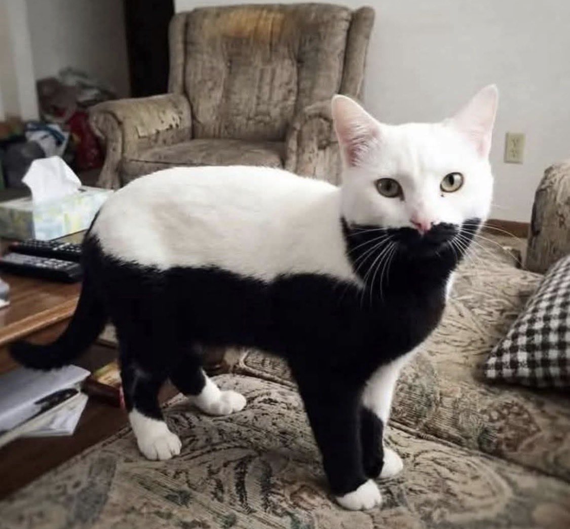 Diego Prieto✈️ tweet media