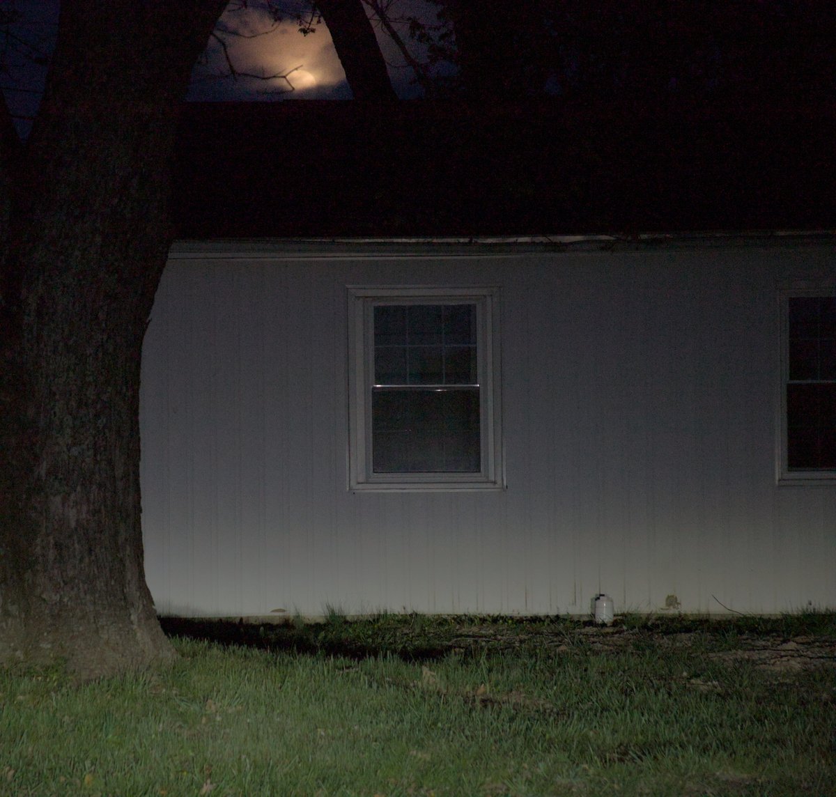 funtapaz tweet media