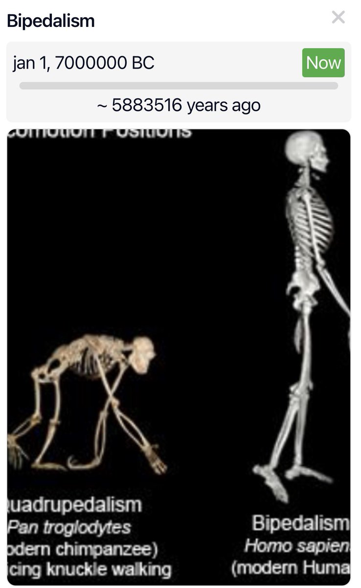 Wynter Moon tweet media