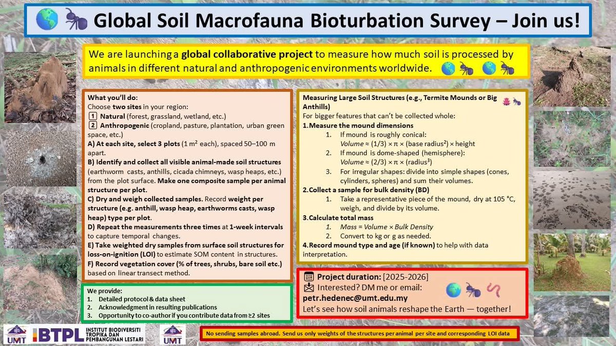 Hedenec's tweet image. We are still searching collaboration in bioturbation project. The deadline for da submission is 31.8.2026. 

#bioturbation
#research
#globalsurvey