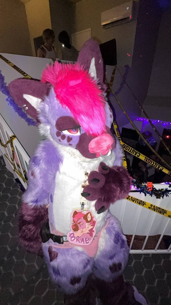 BraeBrae💜🔜 LVFC tweet media