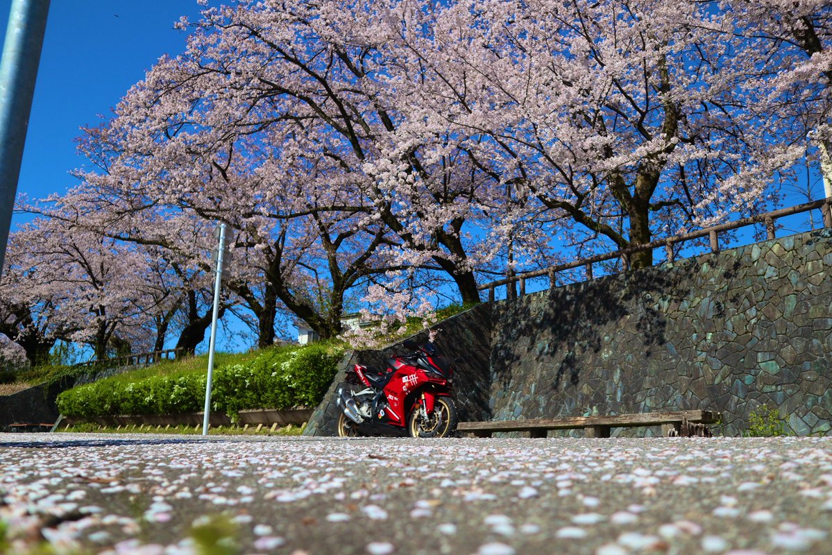 けんさん✌️山とバイクと食欲⛰️ 🏍🍖 tweet media