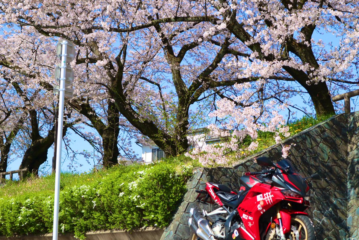 けんさん✌️山とバイクと食欲⛰️ 🏍🍖 tweet media