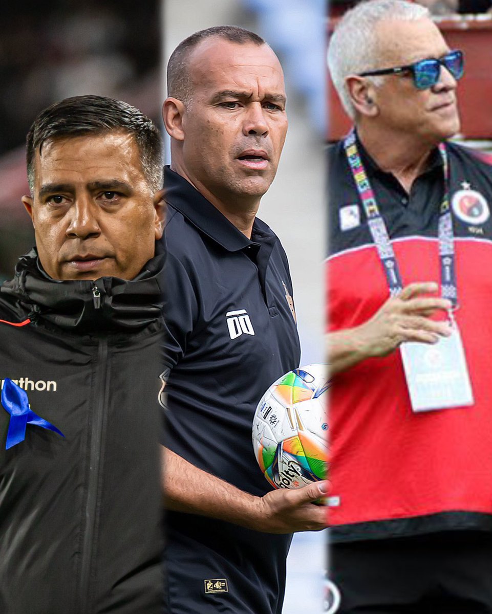 Tomy Arguelles tweet media