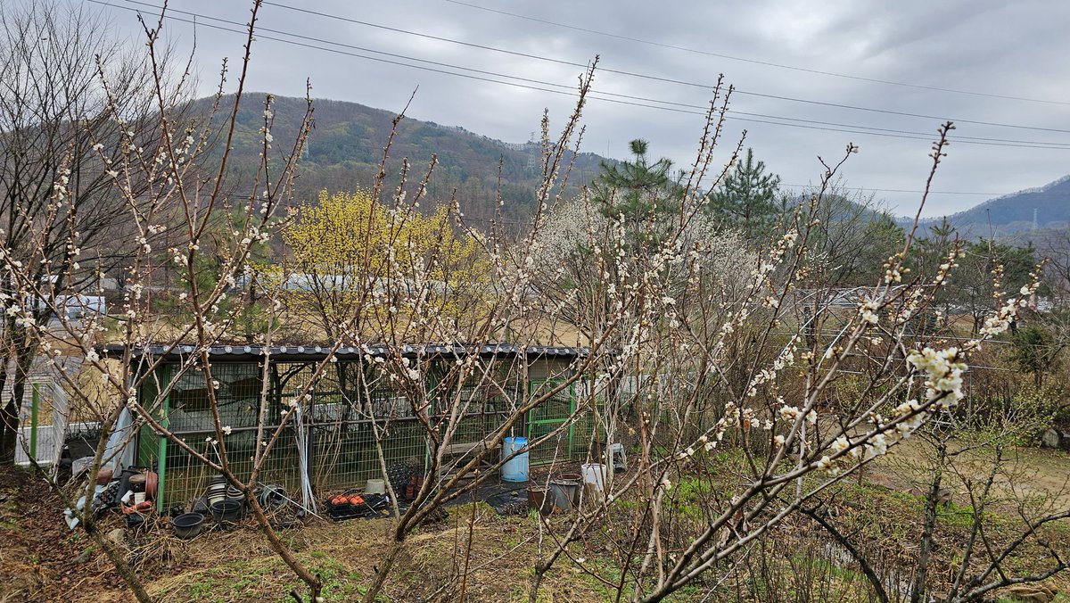 ㅇㄴㄱ tweet media